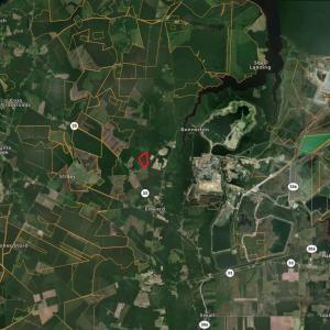 Photo #20 of Stilley Town, Edward, NC 42.0 acres