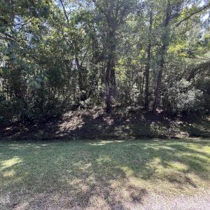 Photo #4 of Lot#43,43a Windy, Belhaven, NC 4.0 acres
