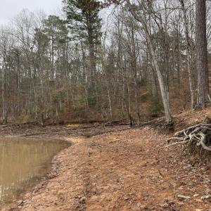 Photo #8 of 205 Rolland, McCormick, SC 0.7 acres