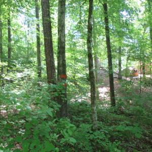 Photo #5 of 205 Rolland, McCormick, SC 0.7 acres