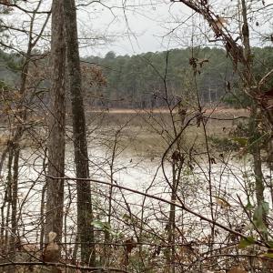 Photo #11 of 205 Rolland, McCormick, SC 0.7 acres
