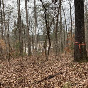 Photo #9 of 205 Rolland, McCormick, SC 0.7 acres