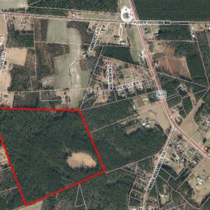 Photo #2 of 62.60 Morning Dove Ln, Watha, NC 62.6 acres