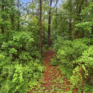 Photo #21 of 206 Culpeper, New Bern, NC 0.7 acres