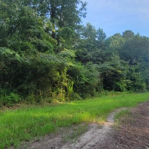 Photo #1 of Lot 1 Sr 1178, Chocowinity, NC 3.4 acres