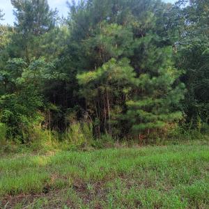 Photo #2 of Lot 1 Sr 1178, Chocowinity, NC 3.4 acres