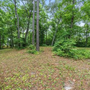 Photo #7 of 3695 River Park, Leland, NC 1.6 acres