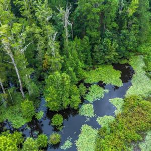 Photo #10 of 3695 River Park, Leland, NC 1.6 acres