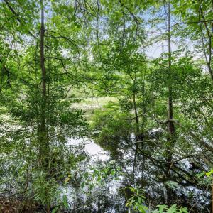 Photo #9 of 3695 River Park, Leland, NC 1.6 acres
