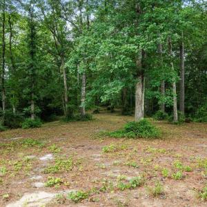 Photo #5 of 3695 River Park, Leland, NC 1.6 acres