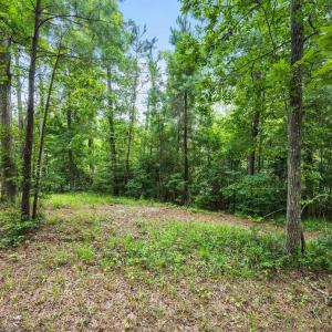 Photo #6 of 3695 River Park, Leland, NC 1.6 acres