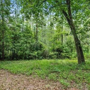 Photo #8 of 3695 River Park, Leland, NC 1.6 acres