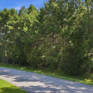 Photo #2 of 9325 Doris, Oriental, NC 0.8 acres