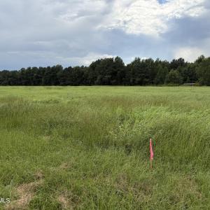 Photo #2 of Mills, Goldsboro, NC 15.8 acres