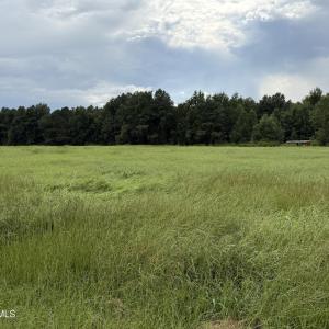 Photo #3 of Mills, Goldsboro, NC 15.8 acres