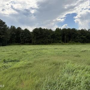 Photo #4 of Mills, Goldsboro, NC 15.8 acres