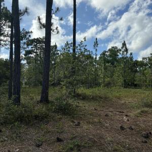 Photo #4 of 98 Fairway, Southport, NC 0.5 acres
