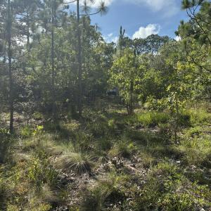 Photo #8 of 98 Fairway, Southport, NC 0.5 acres