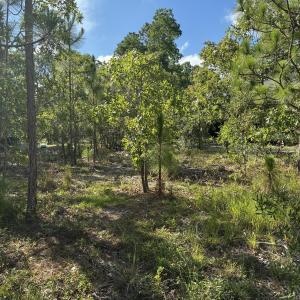 Photo #7 of 98 Fairway, Southport, NC 0.5 acres
