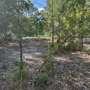 Photo #6 of 98 Fairway, Southport, NC 0.5 acres