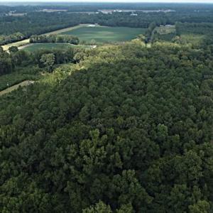 Photo #2 of Tbd Martin Luther King Junior, Bladenboro, NC 13.5 acres