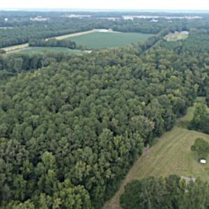 Photo #3 of Tbd Martin Luther King Junior, Bladenboro, NC 13.5 acres