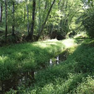 Photo #20 of Tbd Martin Luther King Junior, Bladenboro, NC 13.5 acres