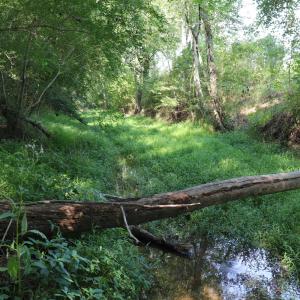 Photo #21 of Tbd Martin Luther King Junior, Bladenboro, NC 13.5 acres
