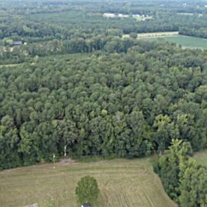 Photo #4 of Tbd Martin Luther King Junior, Bladenboro, NC 13.5 acres
