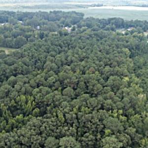 Photo #6 of Tbd Martin Luther King Junior, Bladenboro, NC 13.5 acres