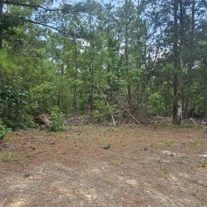 Photo #1 of Lot 2 Amelia, McCormick, SC 0.5 acres