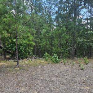 Photo #2 of Lot 2 Amelia, McCormick, SC 0.5 acres