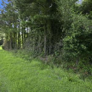 Photo #13 of 704 Gordon Lewis, Winnabow, NC 0.5 acres