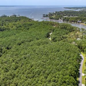 Photo #4 of 397 Madison, Oriental, NC 3.4 acres