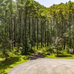 Photo #11 of 397 Madison, Oriental, NC 3.4 acres