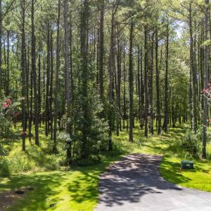 Photo #12 of 397 Madison, Oriental, NC 3.4 acres