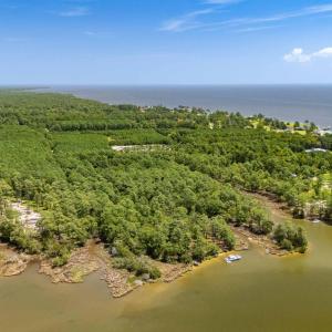 Photo #8 of 397 Madison, Oriental, NC 3.4 acres