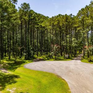 Photo #10 of 397 Madison, Oriental, NC 3.4 acres