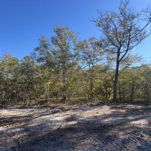 Photo #1 of Lot 121 Coral Gull, Southport, NC 0.3 acres