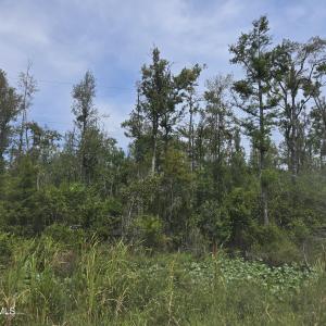 Photo #2 of Elementary School, Columbia, NC 275.0 acres