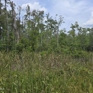 Photo #6 of Elementary School, Columbia, NC 275.0 acres