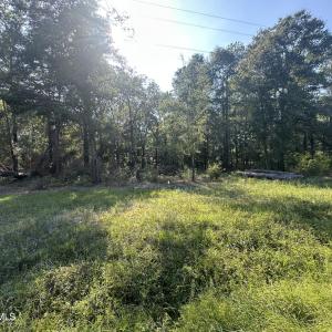 Photo #3 of 2 Ivanhoe, Ivanhoe, NC 0.9 acres