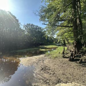 Photo #11 of 3 Ivanhoe, Ivanhoe, NC 1.0 acres