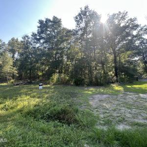 Photo #4 of 3 Ivanhoe, Ivanhoe, NC 1.0 acres