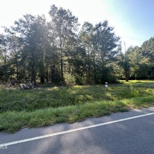 Photo #2 of 3 Ivanhoe, Ivanhoe, NC 1.0 acres