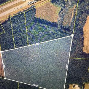 Photo #1 of Cumbee, Supply, NC 20.0 acres