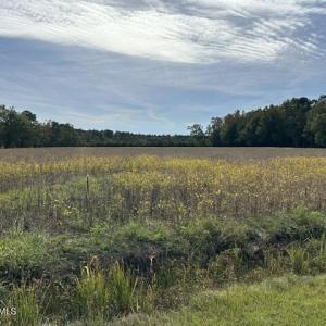 Photo #1 of 721 Joe Piver, Chadbourn, NC 89.5 acres