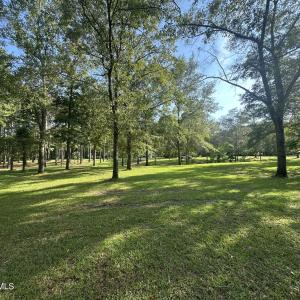 Photo #8 of 43 Black River, Harrells, NC 0.7 acres