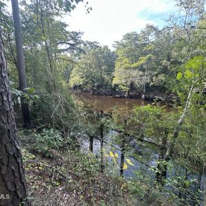 Photo #9 of 43 Black River, Harrells, NC 0.7 acres