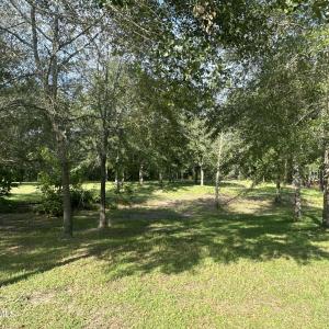 Photo #7 of 43 Black River, Harrells, NC 0.7 acres
